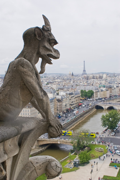pohled na Paříž - Fotografie, Obrázek