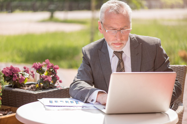 Pleasant businessman using laptop - Photo, Image