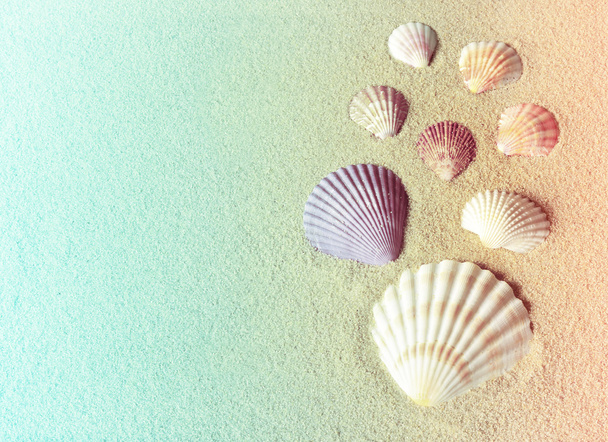 Seashells na praia de areia
 - Foto, Imagem