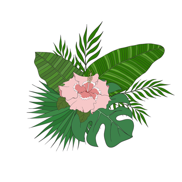 Set of leaves different species palm trees and hibiscus flower. - Vector, Image