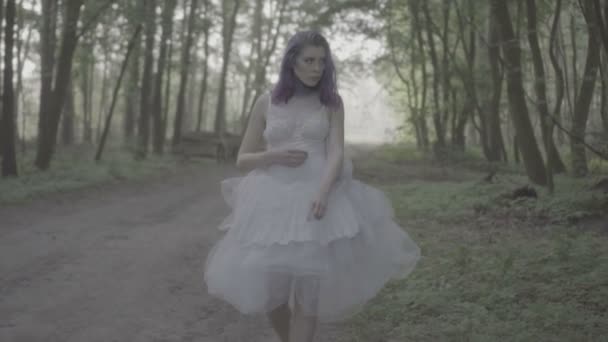 Gyönyörű nő, fehér ruhában, és lila hajú séta erdei mesebeli jelenetet. Videó az érzéki szépség fák között lassítva. - Felvétel, videó