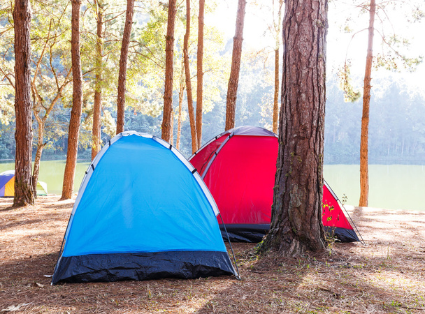 Tende di viaggiatore in campeggio vicino al lago
 - Foto, immagini