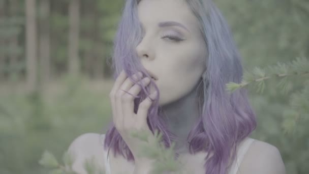 Nahaufnahme einer schönen Frau mit lila Haaren im Nadelwald, die ihre Haare und ihr Gesicht berührt - märchenhafte Szene. Video sinnlicher Schönheit zwischen Bäumen in Zeitlupe. - Filmmaterial, Video