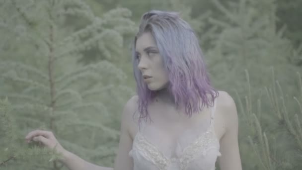 Gyönyörű nő, fehér ruhában, és lila hajú séta erdei mesebeli jelenetet. Videó az érzéki szépség a tűlevelűek között lassú mozgásban. - Felvétel, videó