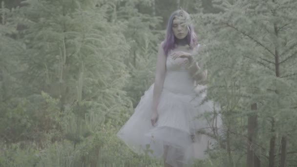Hermosa mujer en vestido blanco y pelo morado caminando y tocando el árbol en el bosque - escena de cuento de hadas. Video de belleza sensual entre coníferas en cámara lenta
. - Metraje, vídeo