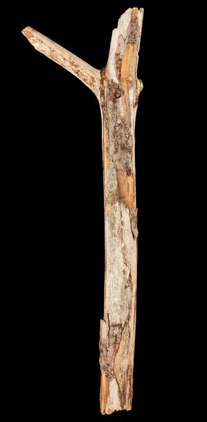 Дерево stick ізольовані
 - Фото, зображення