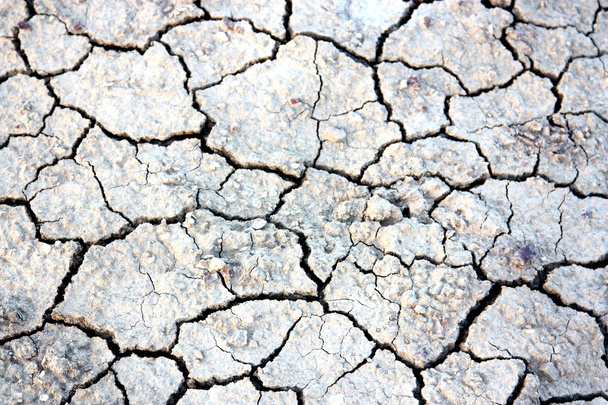 Trockene rissige Erde in Erwartung von Regen - Foto, Bild