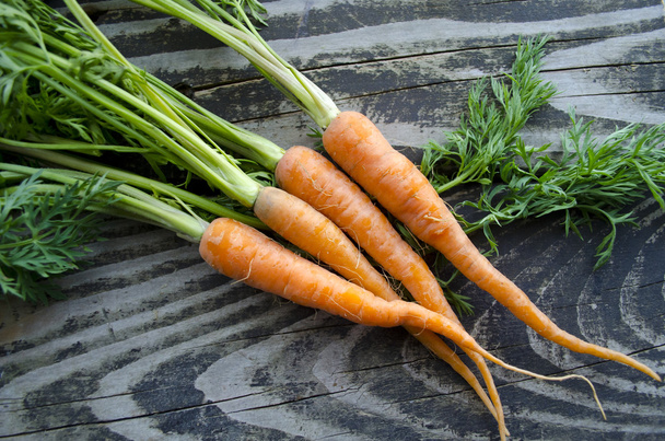 Ripe and fresh organic carrots on old wooden table. Harvesting bunch of young carrots on a wooden background. - Photo, image