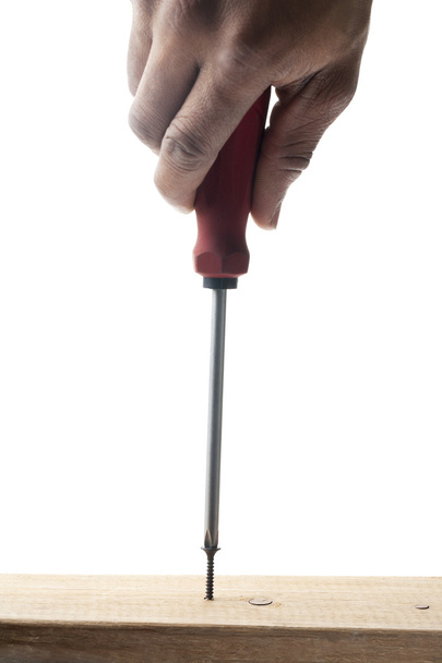 Woodscrew and screwdriver - Photo, Image