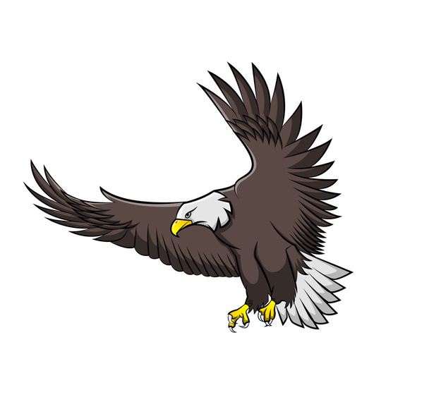 Eagle flying vector - Vector, Image