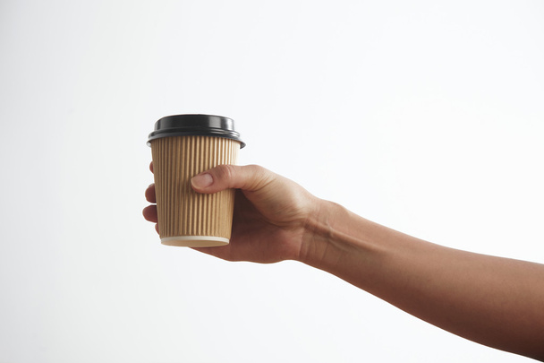 Woman holds paper cup  - 写真・画像