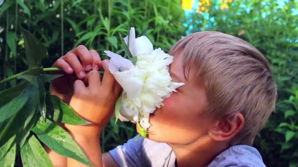 het kind inhaleert de geur van bloeiende bloemen - Video