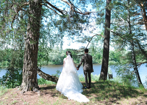 wedding couple walk in the wood. - Zdjęcie, obraz