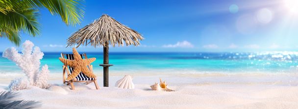 Étoile de mer en détente à l'ombre du palmier dans la plage tropicale
 - Photo, image