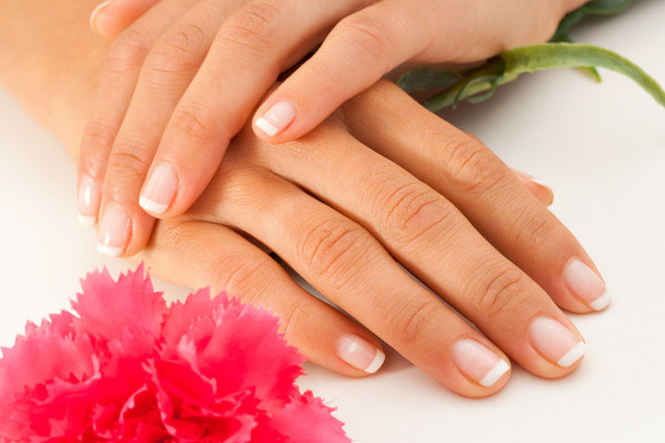 Female hands with french manicure. - Photo, Image