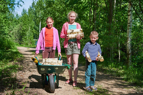 Children carry firewood from forest - Fotoğraf, Görsel