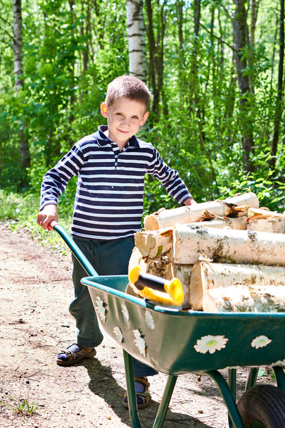 Little boy carries firewood from forest - Fotoğraf, Görsel