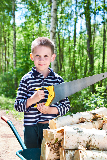 Little boy with wheelbarrow sawing wood in forest - 写真・画像
