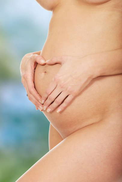 Pregnant woman belly - Photo, image