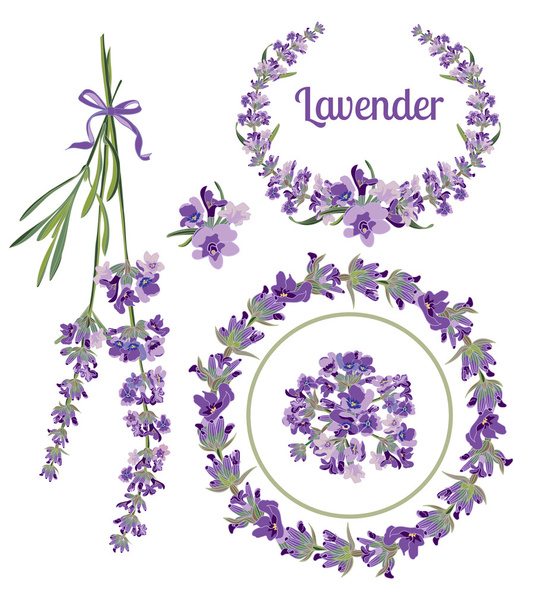 Conjunto de marcos festivos y elementos con flores de lavanda para tarjeta de felicitación. Ilustración botánica
. - Vector, imagen