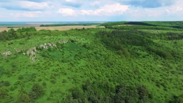 Aerial view of green nature of mountains, hills, trees - Video