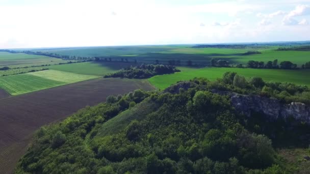 Aerial view of green rock in in the middle of fields - Video