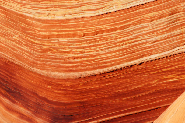 The Wave, Vermilion Cliff National Monument, Arizona, Amerikai Egyesült Államok - Fotó, kép