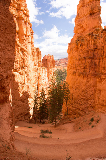 Bryce canyon, utah, Amerikai Egyesült Államok - Fotó, kép
