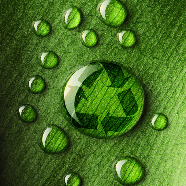 Water drops on leaf and recycle logo - Photo, Image