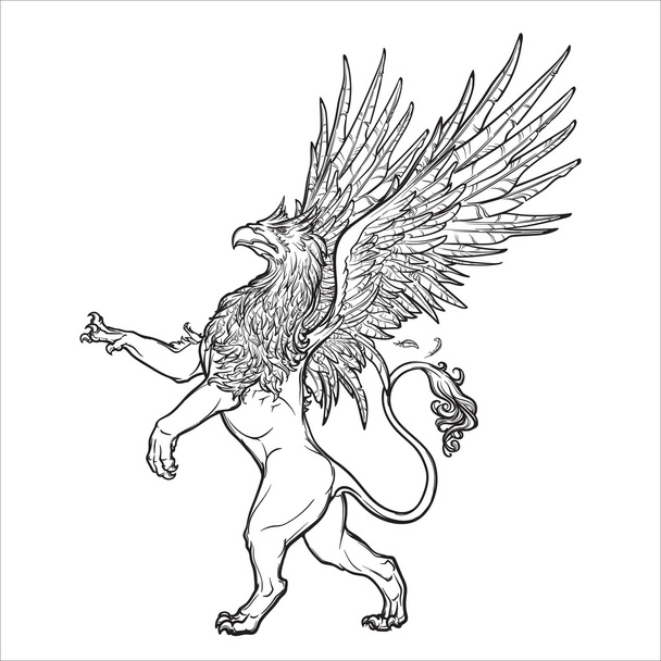Griffin, Gänse- oder Greifvogel auf Grunge-Hintergrund. - Vektor, Bild
