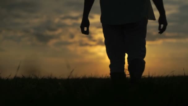 Mies kävelee pellolla kaunis auringonlasku taustalla
 - Materiaali, video