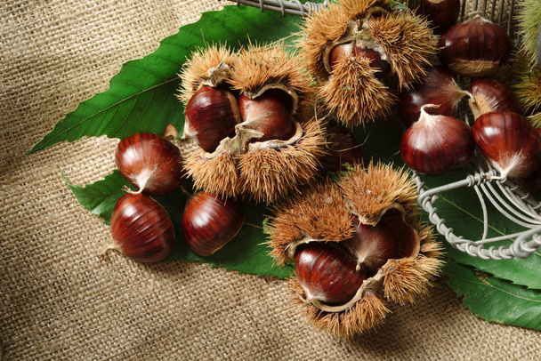 Autumn chestnuts on table - Photo, Image