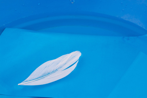 Pluma de pájaro de color blanco en agua en fondo azul
 - Foto, imagen