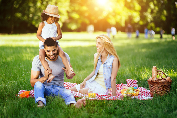 Iloinen onnellinen perhe piknikillä
 - Valokuva, kuva