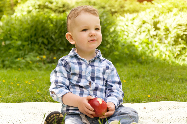 little boy eating red apple - Zdjęcie, obraz