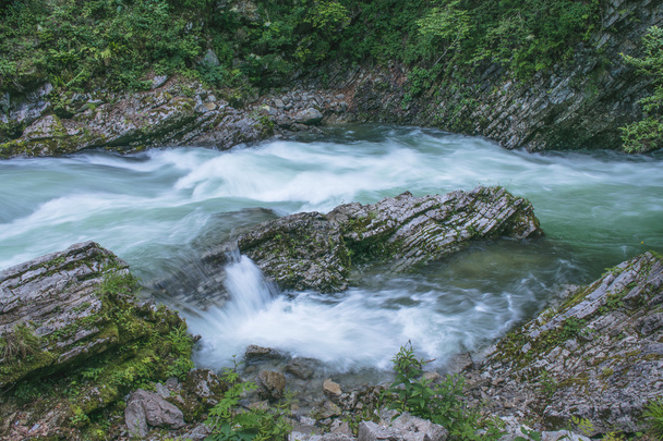 スロベニアのビンガー峡谷 - 写真・画像