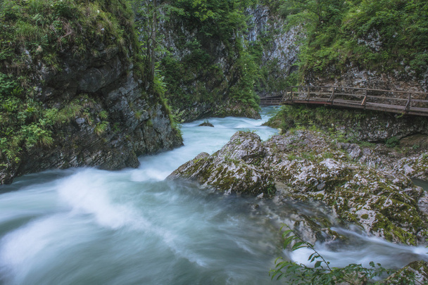 Тече річка. Словенія
 - Фото, зображення