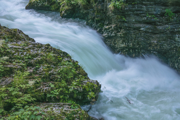 流れる川。スロベニア - 写真・画像