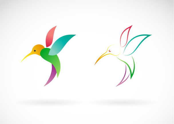 Διανυσματική εικόνα ενός σχεδιασμού της hummingbird σε άσπρο φόντο, / Vec - Διάνυσμα, εικόνα
