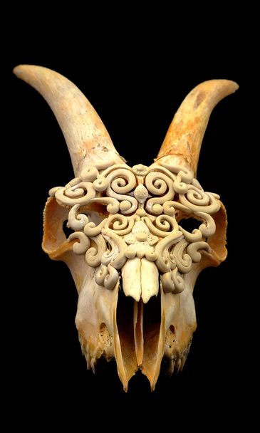 Geit schedel versierd met polymeerklei (selectieve aandacht) - Foto, afbeelding
