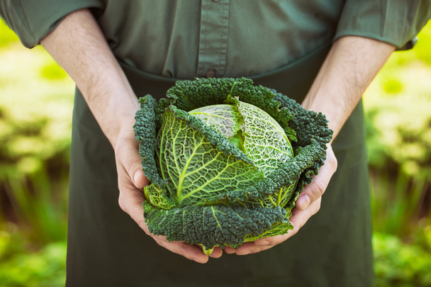 Farmer with kale - Foto, afbeelding