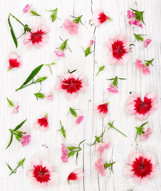 Carnation flowers on light rustic wooden background.   - Photo, Image