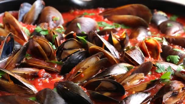 cooking mussel opens in tomato sauce - Footage, Video