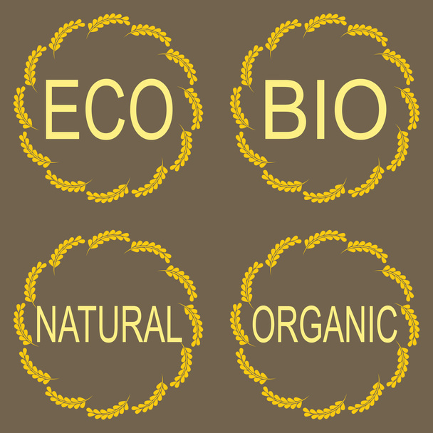 Organic, bio, eco natural set. - Foto, afbeelding
