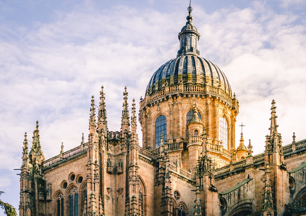 Catedral de Salamanca - Photo, Image