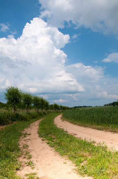 Luonto maisema maatalouden aloilla ja maaseudulla tie
 - Valokuva, kuva