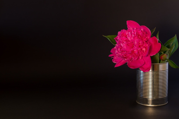 pink peony flower in a tin vase on a black background - Φωτογραφία, εικόνα