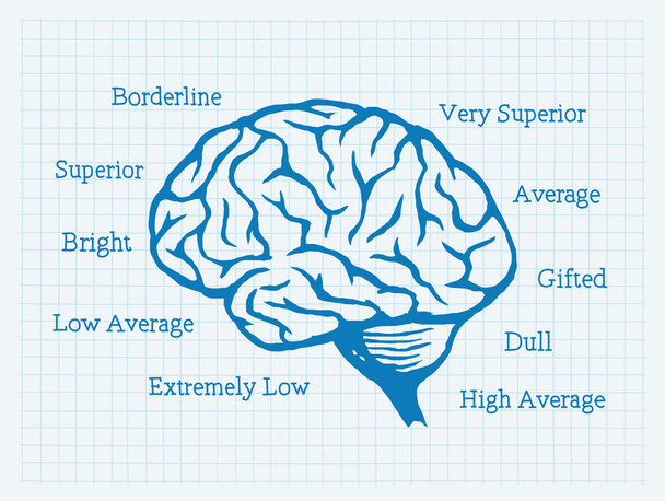 IQ-intelligencia hányados, agy, mentalitás - Vektor, kép