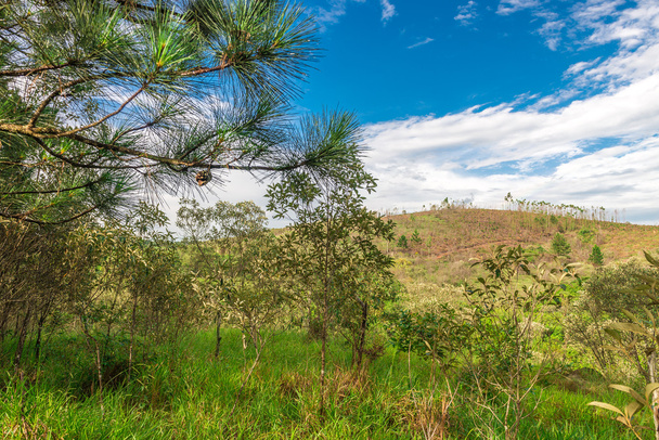 Вид на природу с ярким небом в сельской местности, Минас-Жерайс, Бразилия
. - Фото, изображение