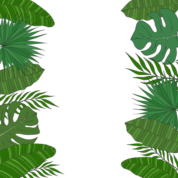 Cornice verticale di foglie di palma. Carta tropicale o banner
. - Vettoriali, immagini
